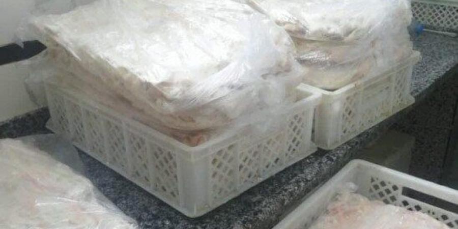 بيطري القليوبية يضبط 3.7 طن منتجات حيوانية مجهولة المصدر - الكويت الاخباري