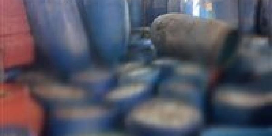 محافظ الشرقية يُتابع مجهودات "شؤون البيئة" في تنفيذ حملات على المنشآت الغذائية والصناعية بديرب نجم ومنيا القمح وههيا - الكويت الاخباري