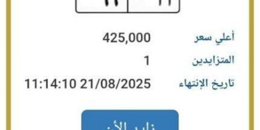 سعرها وصل 425 ألف جنيه.. المرور تطرح التزايد على لوحة سيارة مميزة - الكويت الاخباري