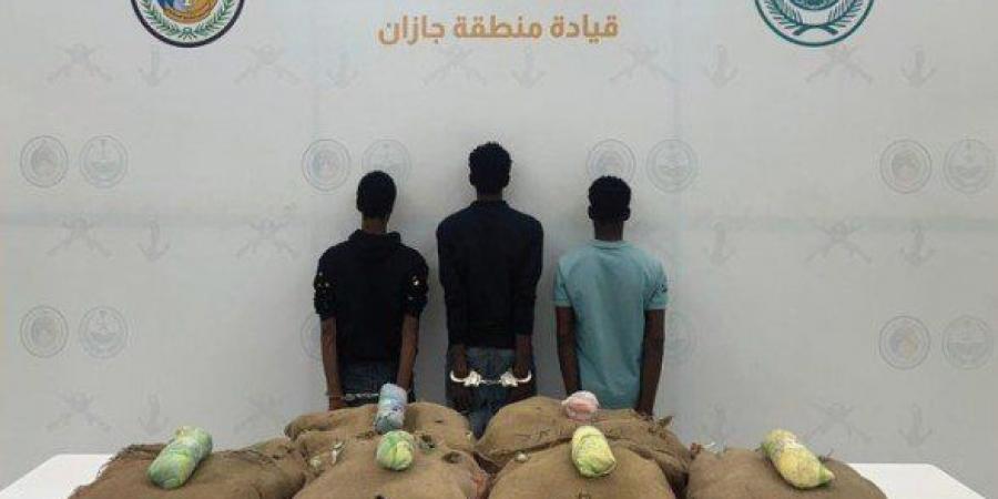 ضبط 3 أشخاص لمحاولتهم تهريب كمية من نبات القات المخدر بمنطقة جازان - الكويت الاخباري