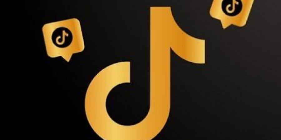 كيفية شراء متابعين تيك توك؟ ولماذا تحتاج إلى شراء المتابعين؟ - الكويت الاخباري
