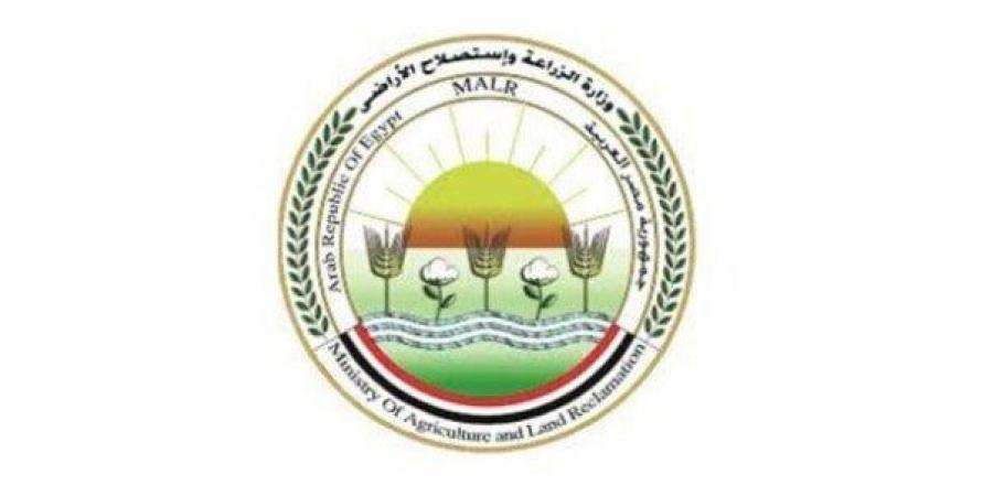 قصة نجاح وطنية.. «الزراعة» تراجع خطط مواجهة السحابة السوداء بالشرقية - الكويت الاخباري