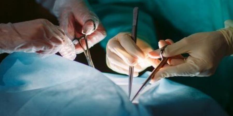 هل تتحمّل الدولة نفقات إجراء عمليات زرع الأعضاء لمن يعجزون عن السداد؟.. القانون يُجيب - الكويت الاخباري