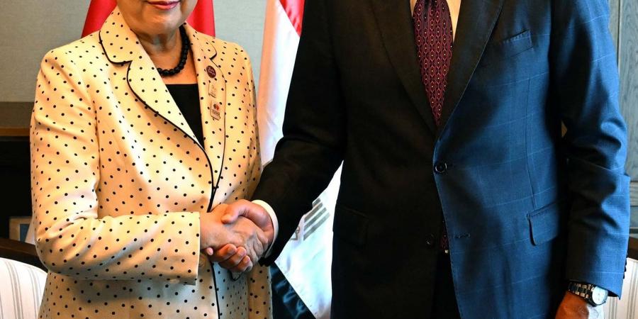 مدبولى يبحث فرص التعاون مع اليابان لتطوير قطاع النقل في مصر - الكويت الاخباري