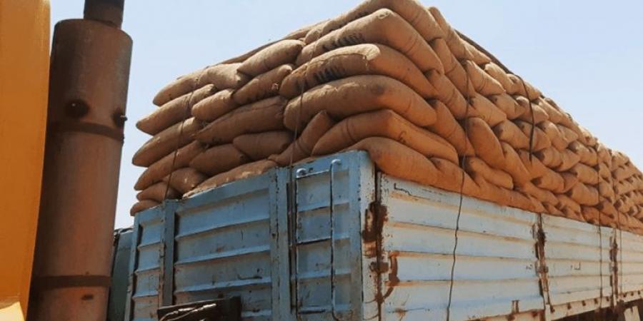 قوافل المساعدات تستثني الفاشر المحاصرة وسكانها يأكلون علف الحيوانات - الكويت الاخباري