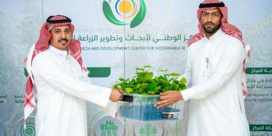 استدامة تدعم مزارعي الباحة بتسليم 19 ألف شتلة من البن والتوت الأسود المنتجة - الكويت الاخباري