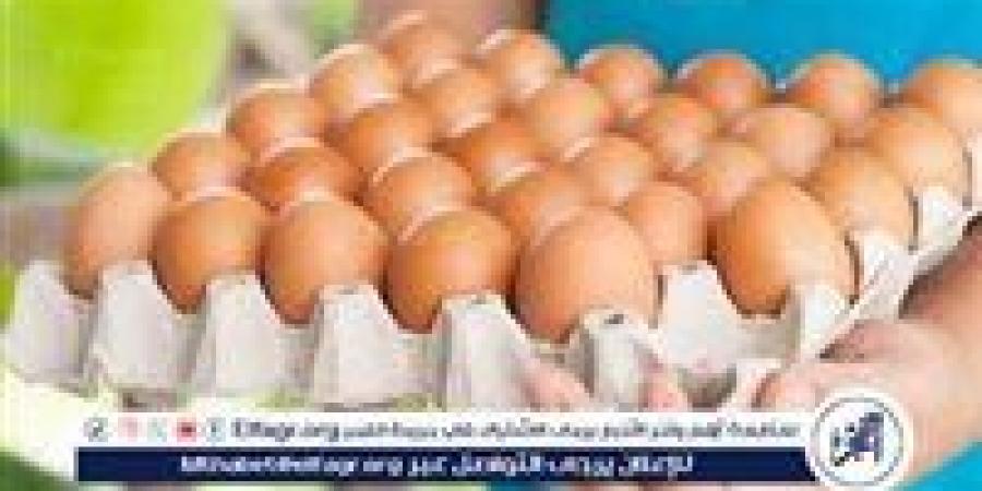 أسعار طبق البيض اليوم الخميس 21-8-2025 في قنا - الكويت الاخباري