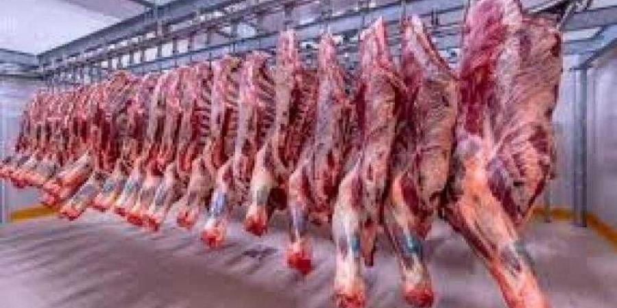 أسعار اللحوم الحمراء اليوم الخميس - الكويت الاخباري